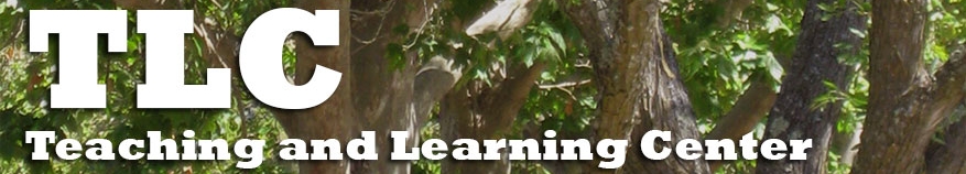 Photo of trees
