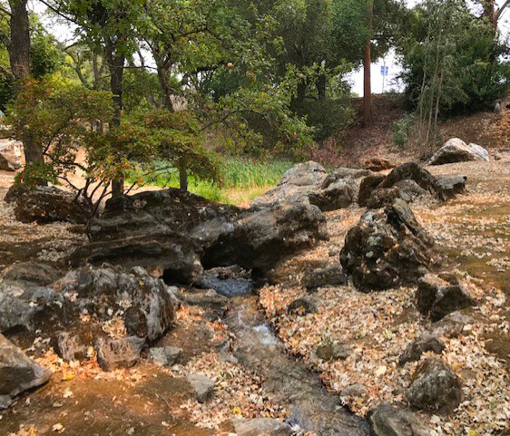 campus creek water rocks plants photo gavilan college