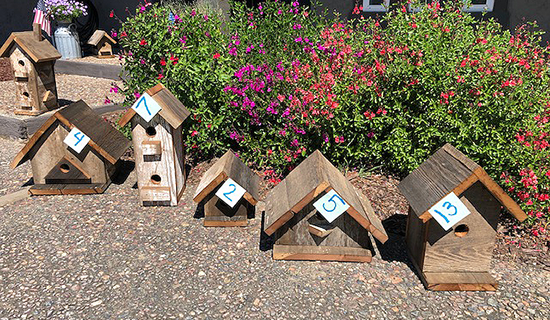 Birdhouses_1817.png