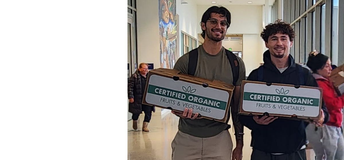 Two men holding organic produce boxes