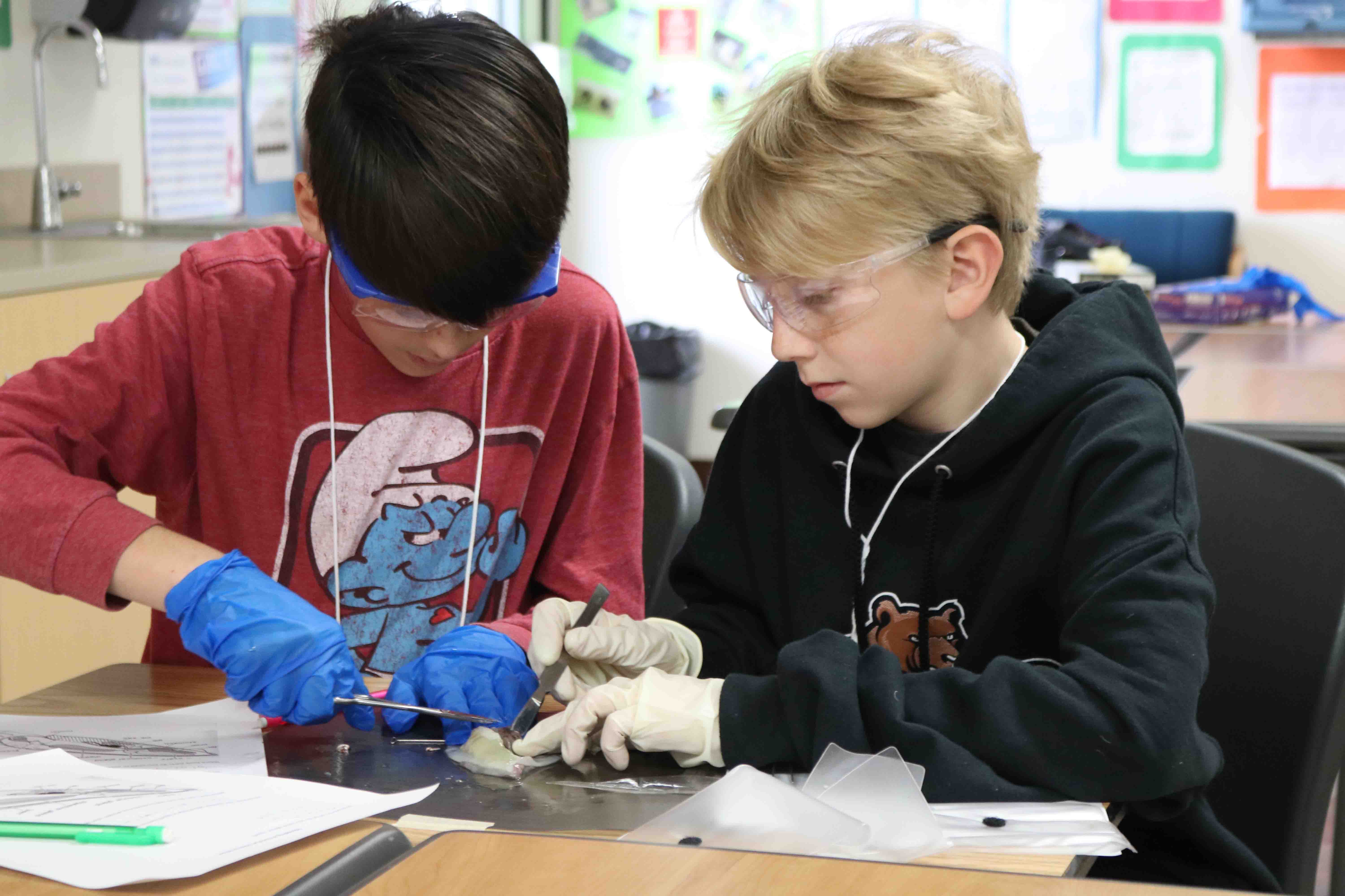 photo of two male students wearing glasses and gloves looking down and dissecting an object